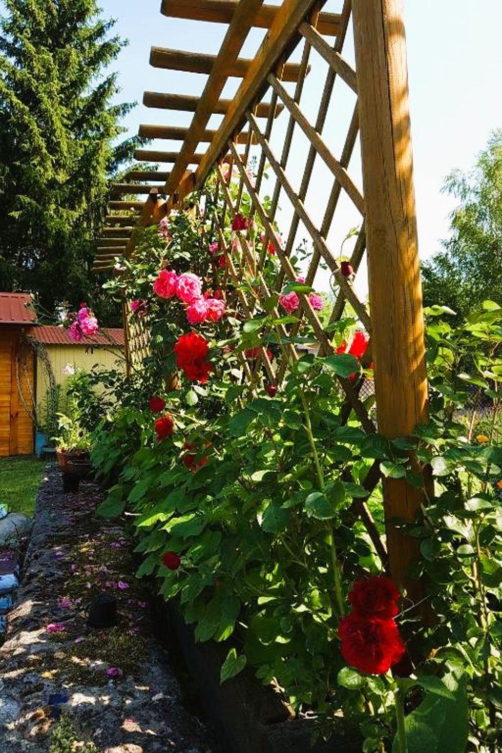 Olszyna Pod Brzoza Villa Exterior photo