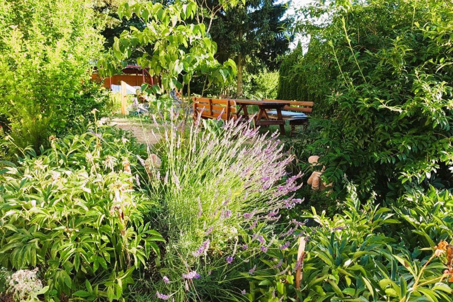 Olszyna Pod Brzoza Villa Exterior photo